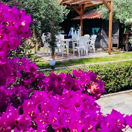 Eden Sea View Harmony Апартаменты